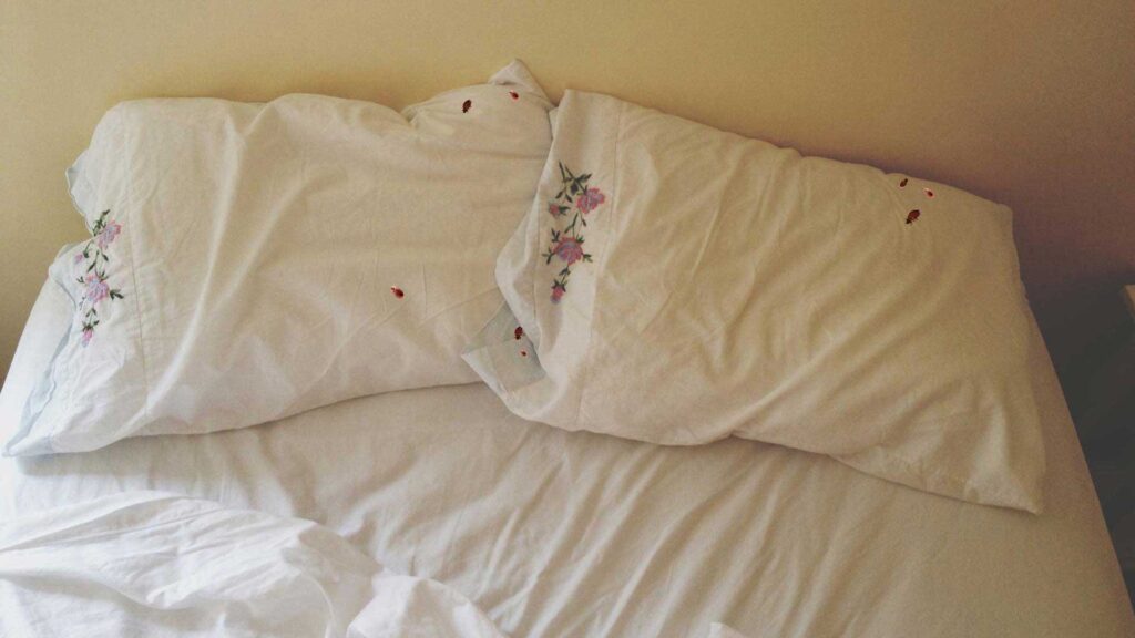 Black and red dots can be bed bugs in a tempurpedic mattress.