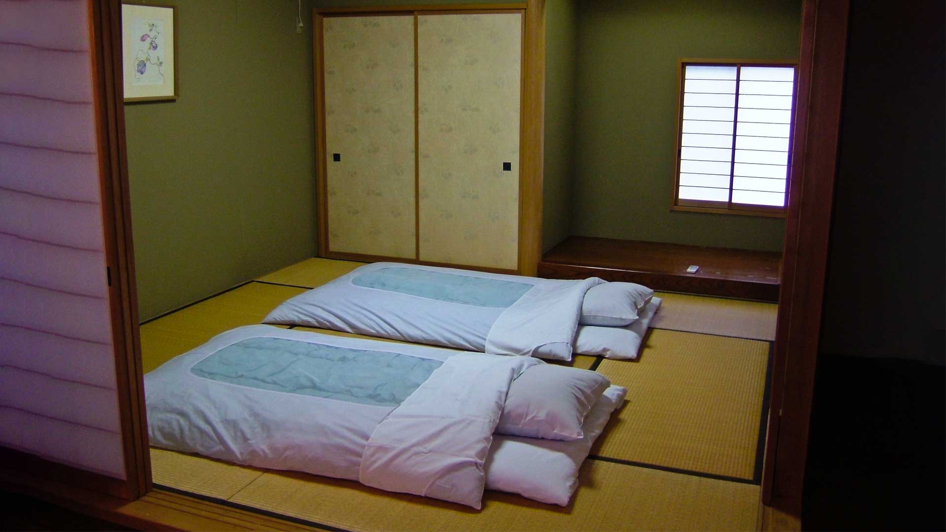 futon mattress cleaning guide