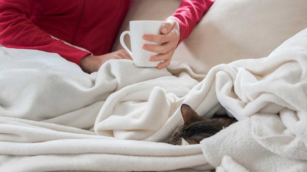 How to use your heated blankets.