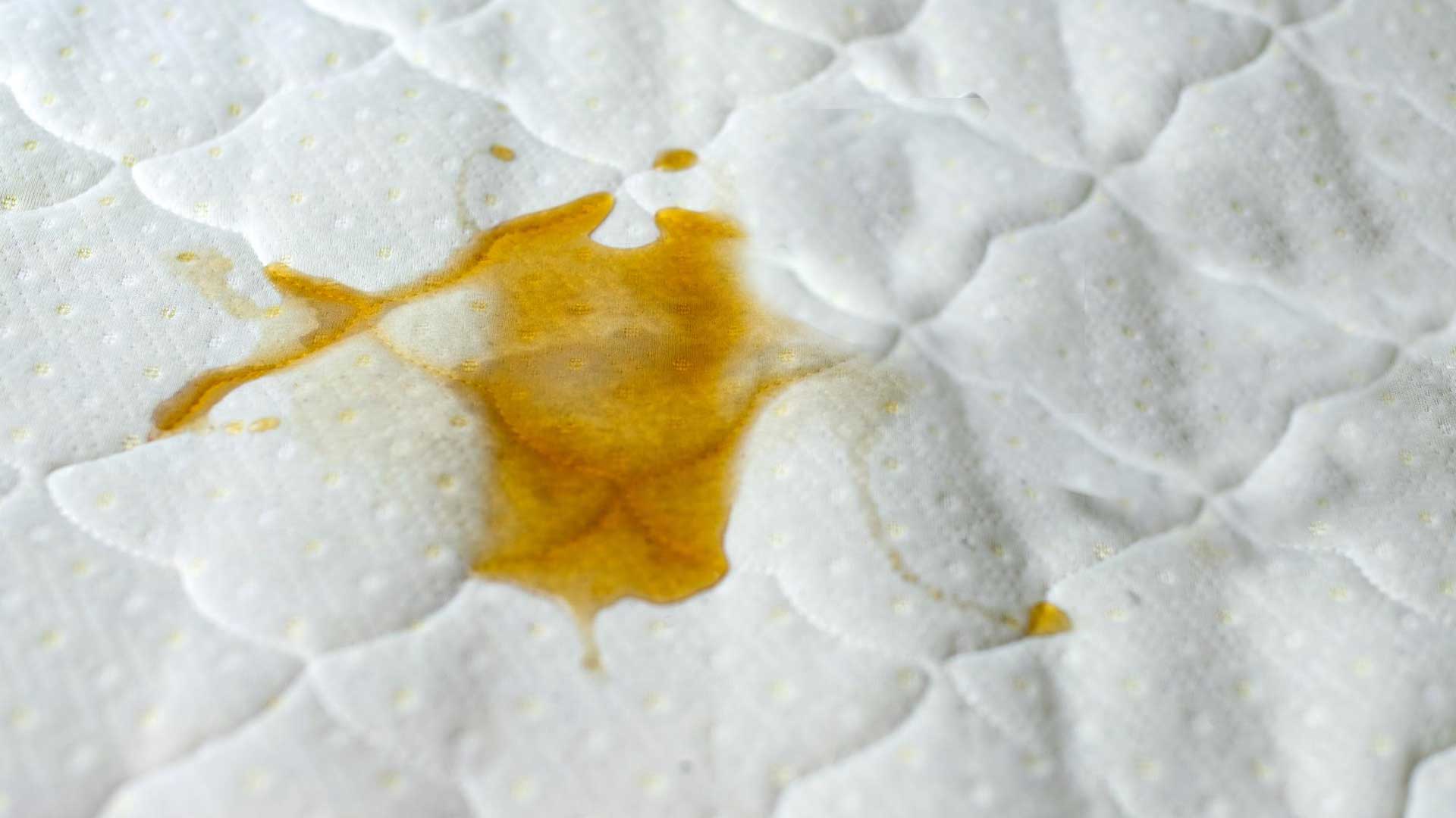 Getting rid of Vomit Smell In Mattress.