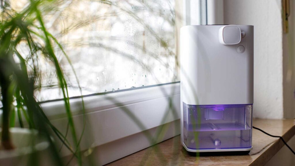 Use a dehumidifier to prevent from getting your mattress wet underneath.