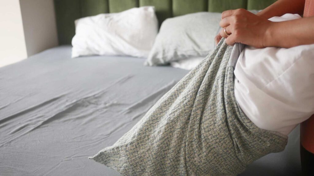 How to prevent from Bed Bugs Infestation.