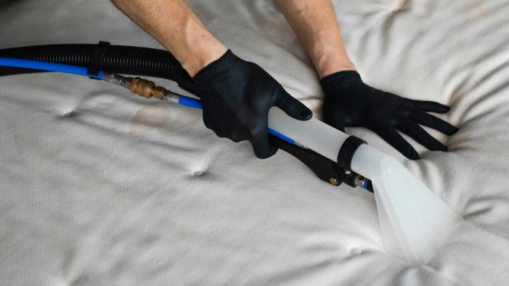 Remember to Vacuum after buying a used mattress.