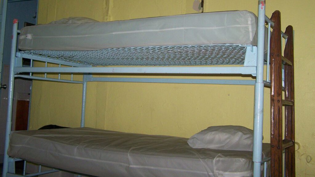 Is bedbugs mattress cover worth the investment?
